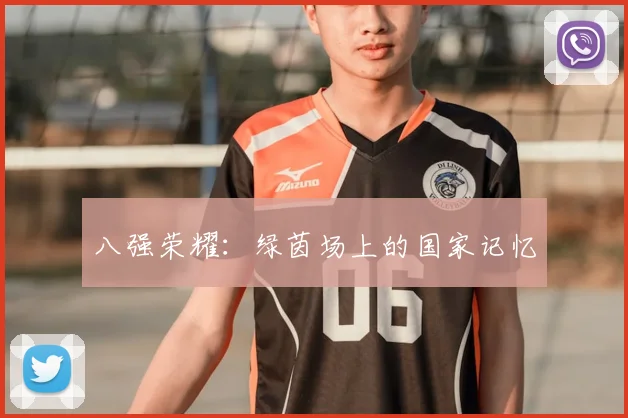 八强荣耀：绿茵场上的国家记忆