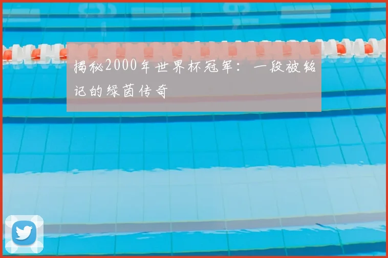 揭秘2000年世界杯冠军：一段被铭记的绿茵传奇