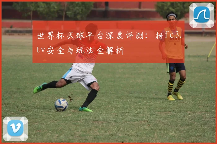 世界杯买球平台深度评测:柯fc3.tv安全与玩法全解析