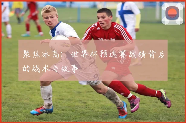 聚焦冰岛：世界杯预选赛战绩背后的战术与故事