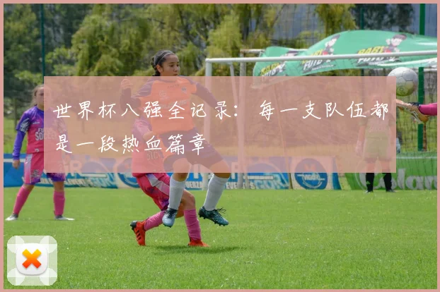 世界杯八强全记录：每一支队伍都是一段热血篇章
